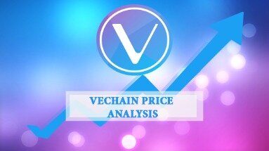 vechain walmart