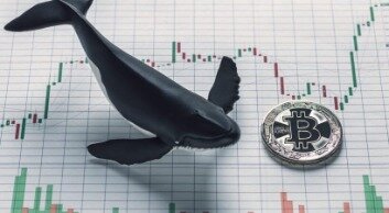 Bitcoin Whales Buy Low, Sell High; Retail Investors Chase Rallies
