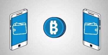 Cryptocurrency Wallet Guide