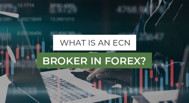 ECN Brokers How Does Forex Trading through ECN Work?